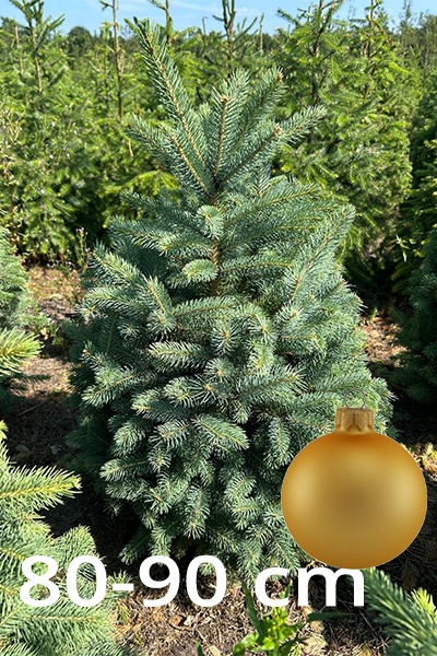 blauwspar_80-90g_1262780771