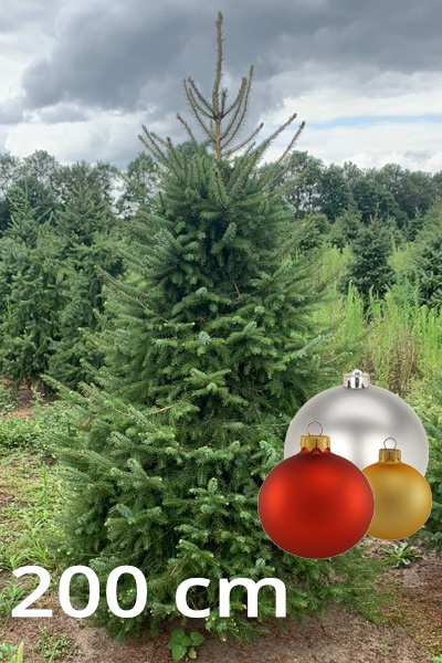 servische_spar_200b_1699107671