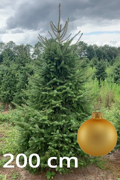 servische_spar_200g_307757894