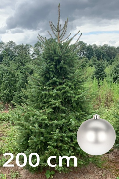 servische_spar_200z_1431395219