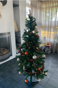 kunstboom