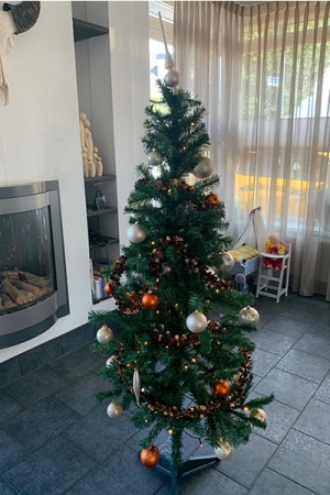 kunstboom